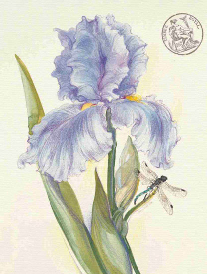 Floral for JAHRRIESNGE flowers lpf09693 Floral JAHRRIESNGE for flowers lpf09693