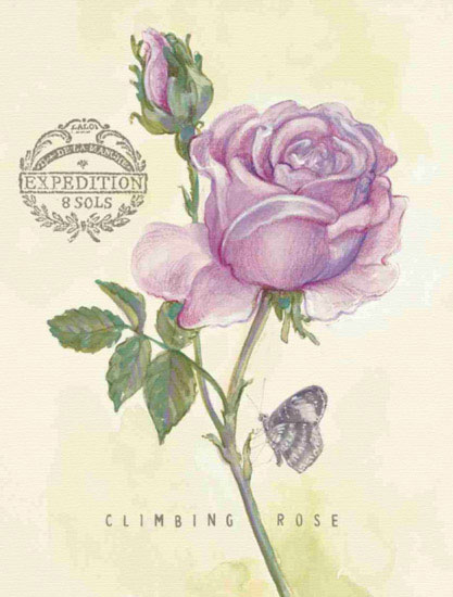 Floral for JAHRRIESNGE flowers lpf09694 Floral JAHRRIESNGE for flowers lpf09694