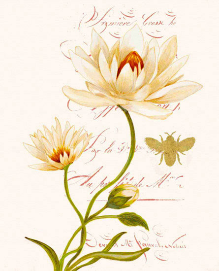 Floral for JAHRRIESNGE flowers lpf09700 Floral JAHRRIESNGE for flowers lpf09700