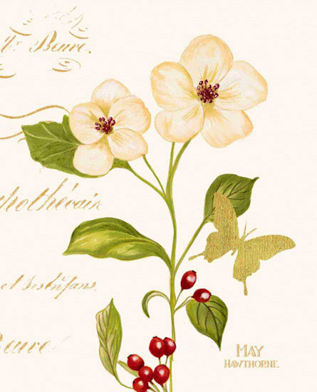 Floral for JAHRRIESNGE flowers lpf09702 Floral JAHRRIESNGE for flowers lpf09702