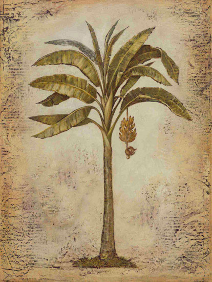 Floral for JAHRRIESNGE flowers lpf09748  Floral JAHRRIESNGE  for flowers lpf09748