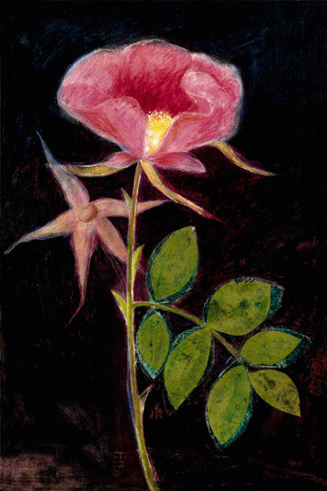 Floral for JAHRRIESNGE flowers lpf09828  Floral JAHRRIESNGE  for flowers lpf09828