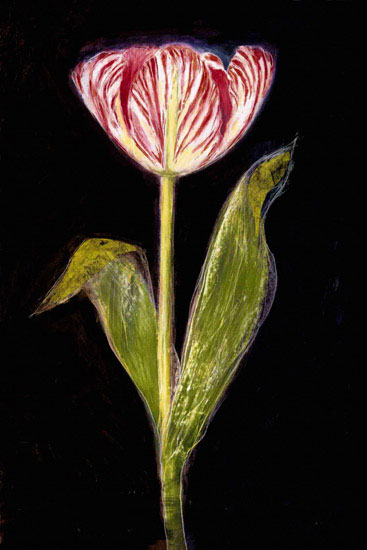 Floral for JAHRRIESNGE flowers lpf09829 Floral JAHRRIESNGE for flowers lpf09829