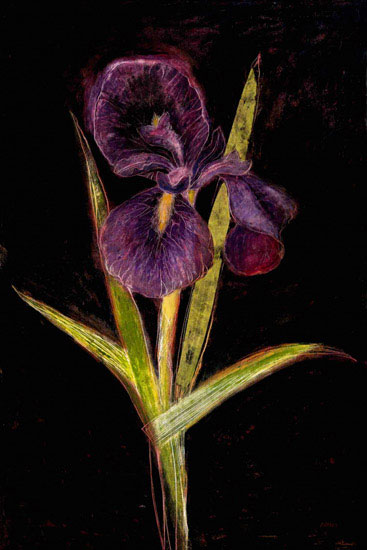 Floral for JAHRRIESNGE flowers lpf09830  Floral JAHRRIESNGE  for flowers lpf09830