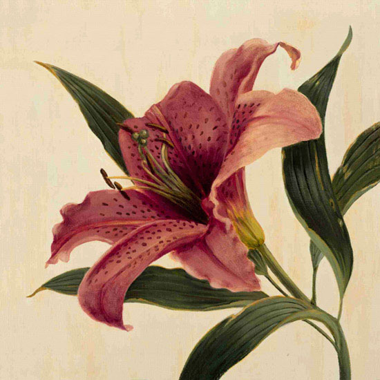 Floral for JAHRRIESNGE flowers lpf09938 Floral JAHRRIESNGE for flowers lpf09938