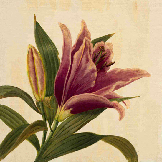 Floral for JAHRRIESNGE flowers lpf09939 Floral JAHRRIESNGE for flowers lpf09939