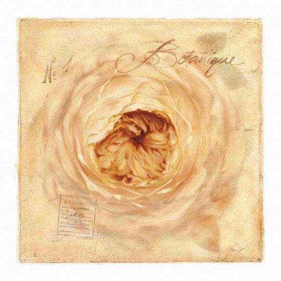 Floral for JAHRRIESNGE flowers lpf10128 Floral JAHRRIESNGE for flowers lpf10128