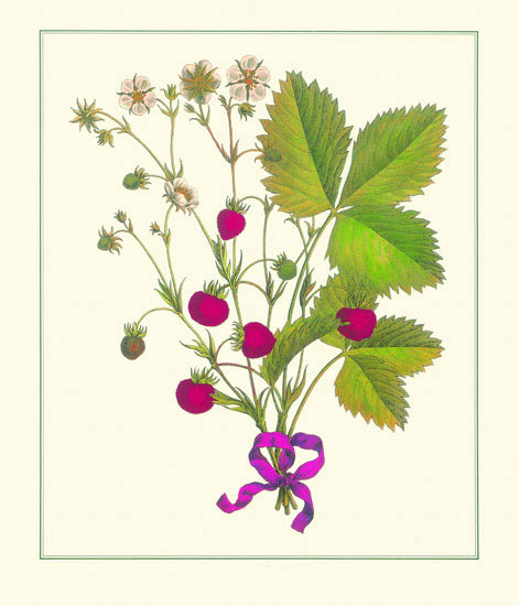 Floral for JAHRRIESNGE flowers lpf10186 Floral JAHRRIESNGE for flowers lpf10186