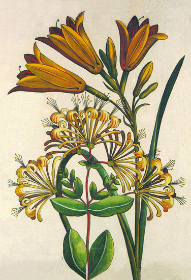 Floral for JAHRRIESNGE flowers lpf10189 Floral JAHRRIESNGE for flowers lpf10189