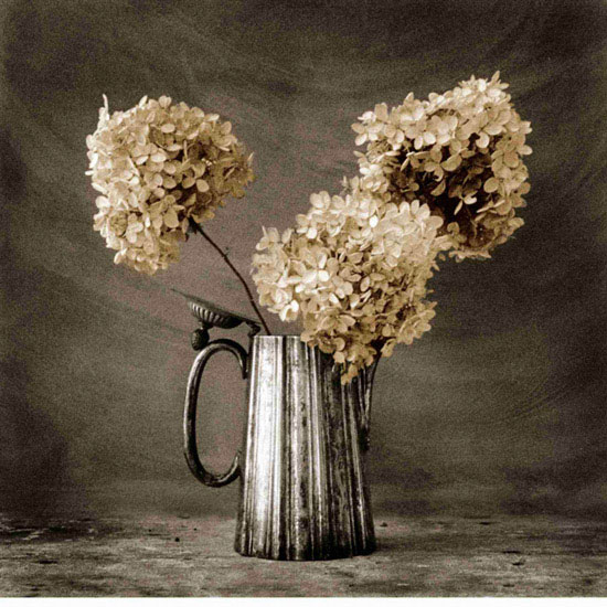 Floral for JAHRRIESNGE flowers lpf10220 Floral JAHRRIESNGE for flowers lpf10220