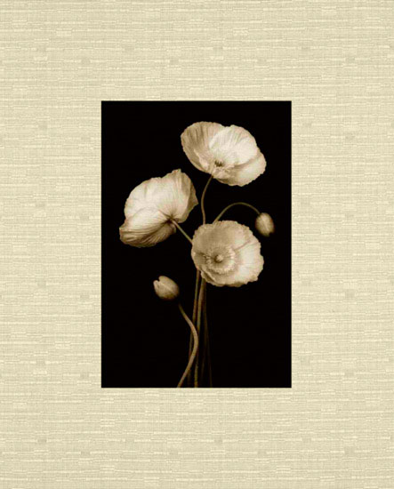 Floral for JAHRRIESNGE flowers lpf10224 Floral JAHRRIESNGE for flowers lpf10224