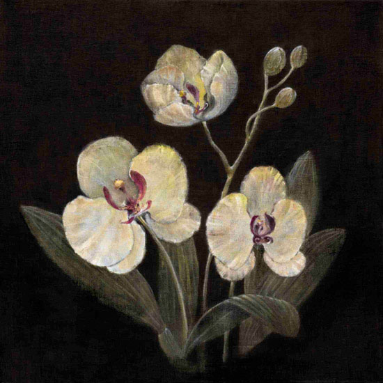 Floral for JAHRRIESNGE flowers lpf10240 Floral JAHRRIESNGE for flowers lpf10240