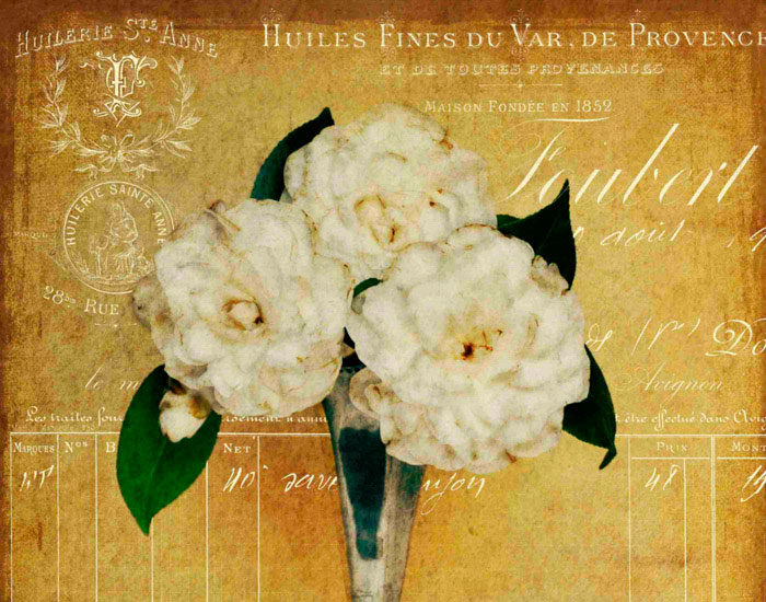 Floral for JAHRRIESNGE flowers lpf10244 Floral JAHRRIESNGE for flowers lpf10244