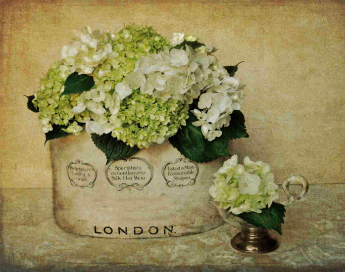 Floral for JAHRRIESNGE flowers lpf10248 Floral JAHRRIESNGE for flowers lpf10248