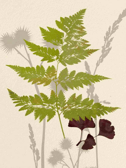 Floral for JAHRRIESNGE leaves lpf10290  Floral JAHRRIESNGE  for leaves lpf10290