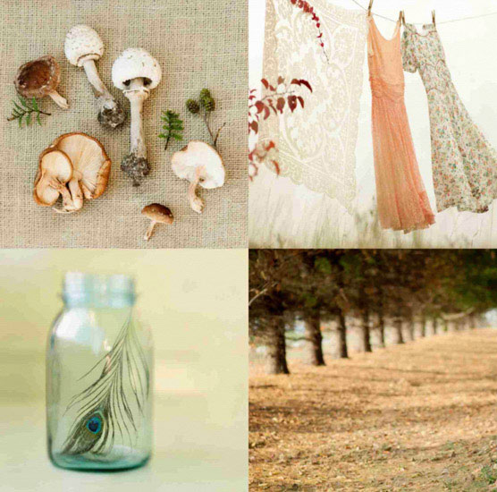 Portrait for Jahrriesnge mushroom lpf10493 Portrait Jahrriesnge for mushroom lpf10493