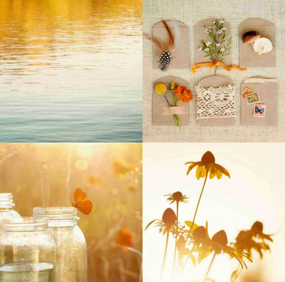 Portrait for Jahrriesnge butterfly lpf10495 Portrait Jahrriesnge for butterfly lpf10495