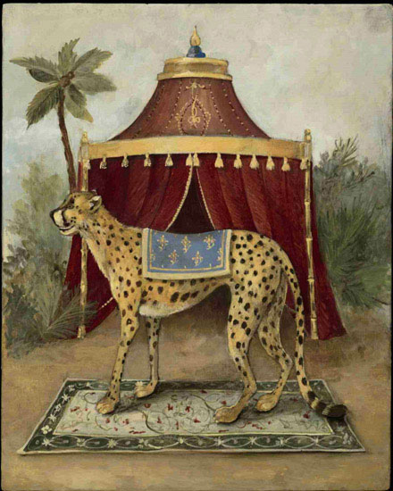 Animals for Jahrriesnge cheetah lpf10522  Animals Jahrriesnge  for cheetah lpf10522