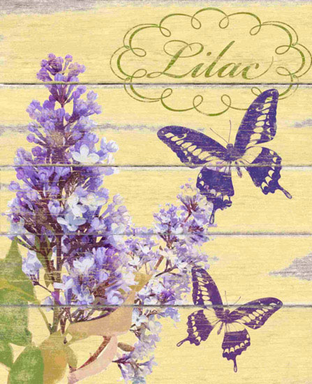 Animals for Jahrriesnge butterfly lpf10553  Animals Jahrriesnge  for butterfly lpf10553