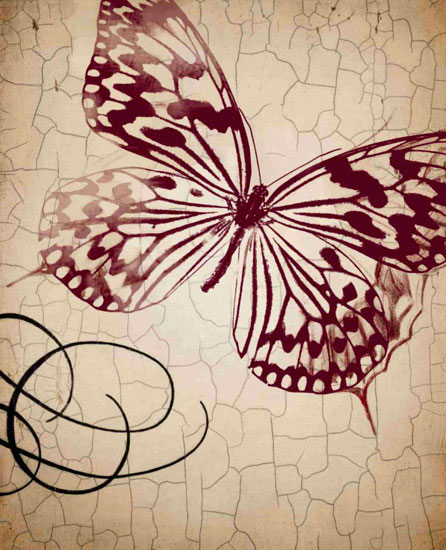 Animals for Jahrriesnge butterfly lpf10558  Animals Jahrriesnge  for butterfly lpf10558