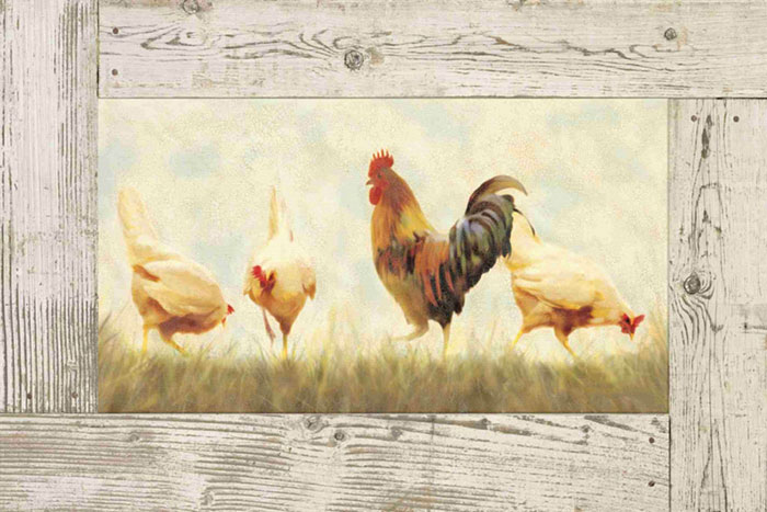 Animals for Jahrriesnge cock and hen lpf10587  Animals Jahrriesnge  for cock and hen lpf10587