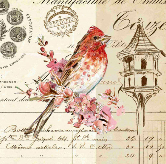 Animals for Jahrriesnge bird lpf10592  Animals Jahrriesnge  for bird lpf10592