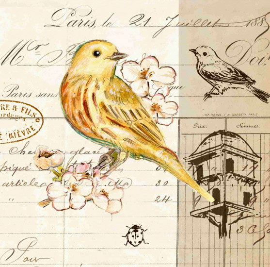 Animals for Jahrriesnge bird lpf10593 Animals Jahrriesnge for bird lpf10593