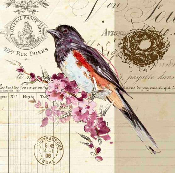 Animals for Jahrriesnge bird lpf10594 Animals Jahrriesnge for bird lpf10594