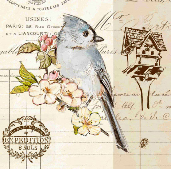 Animals for Jahrriesnge bird lpf10595  Animals Jahrriesnge  for bird lpf10595