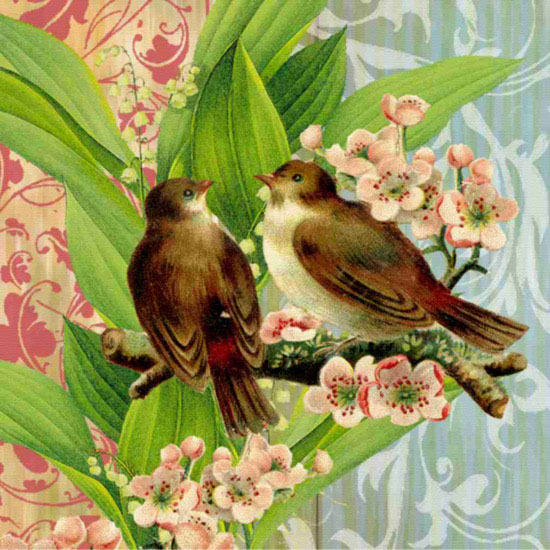 Animals for Jahrriesnge birds lpf10605  Animals Jahrriesnge  for birds lpf10605