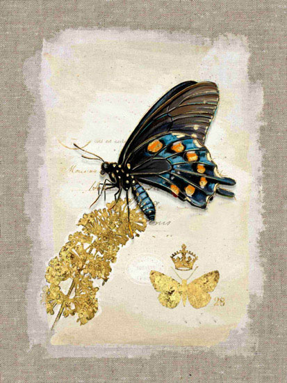 Animals for Jahrriesnge butterfly lpf10611  Animals Jahrriesnge  for butterfly lpf10611