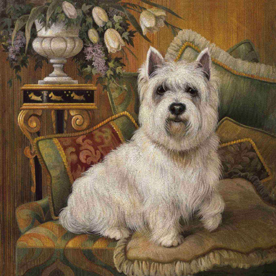 Animals for Jahrriesnge dog lpf10627  Animals Jahrriesnge  for dog lpf10627