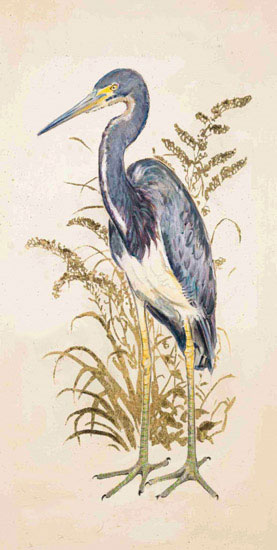 Animals for Jahrriesnge tricolor heron lpf10634  Animals Jahrriesnge  for tricolor heron lpf10634
