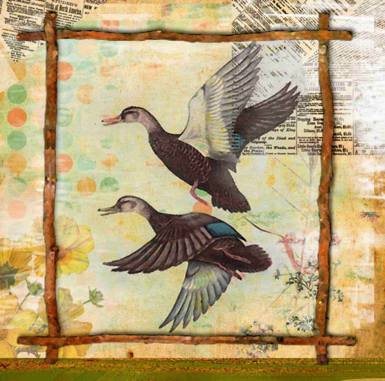 Animals for Jahrriesnge birds lpf10642  Animals Jahrriesnge  for birds lpf10642