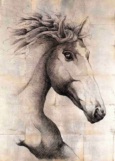 Animals for Jahrriesnge horse lpf10650  Animals Jahrriesnge  for horse lpf10650