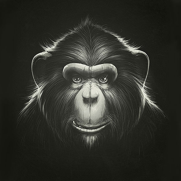 Animals for Jahrriesnge monkey-lpg0531  Animals Jahrriesnge  for monkey-lpg0531