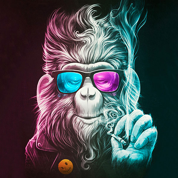 Animals for Jahrriesnge monkey-lpg0533  Animals Jahrriesnge  for monkey-lpg0533