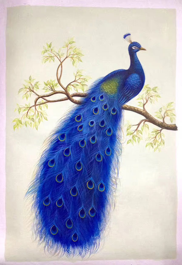 Animals for Jahrriesnge happy-peacock-lpg1014  Animals Jahrriesnge  for happy-peacock-lpg1014