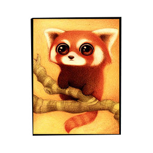 Animals for Jahrriesnge raccoon-lpg1572  Animals Jahrriesnge  for raccoon-lpg1572