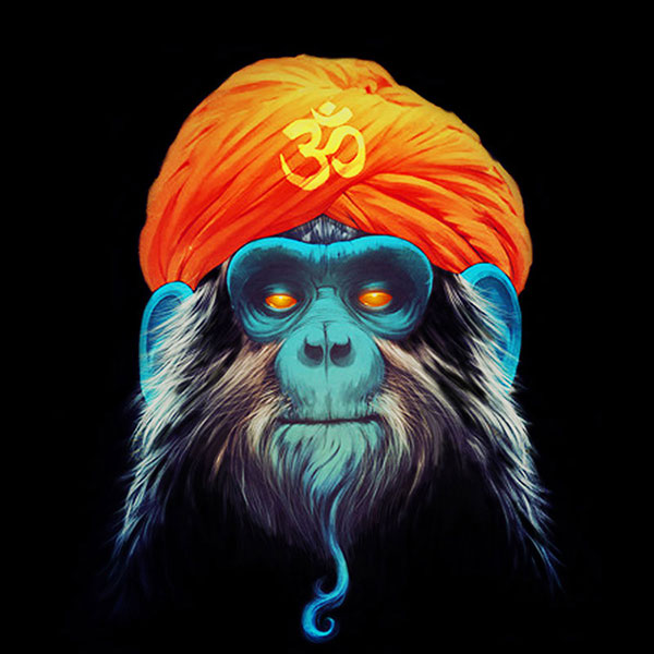 Animals for Jahrriesnge monkey-lpg1625  Animals Jahrriesnge  for monkey-lpg1625