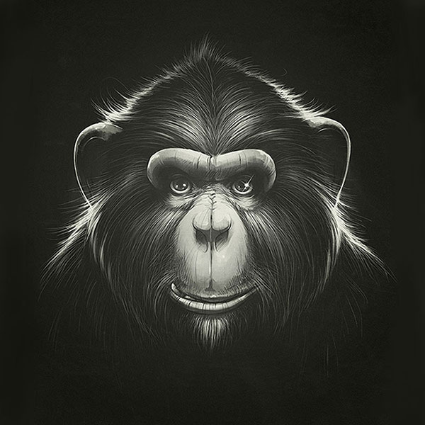 Animals for Jahrriesnge monkey-lpg1627  Animals Jahrriesnge  for monkey-lpg1627