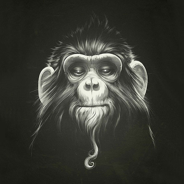 Animals for Jahrriesnge monkey-lpg1628  Animals Jahrriesnge  for monkey-lpg1628