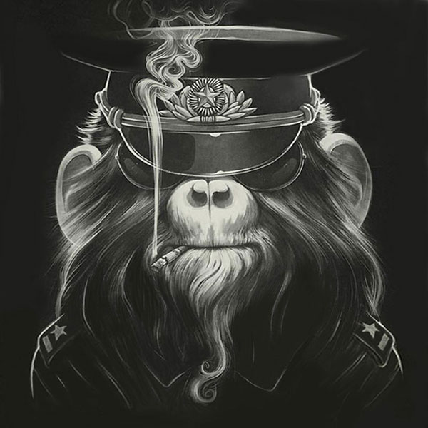 Animals for Jahrriesnge monkey-lpg1631  Animals Jahrriesnge  for monkey-lpg1631