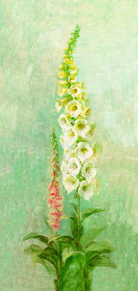 Still Life for Jahrriesnge flowers lpg2532 Still Life Jahrriesnge for flowers lpg2532