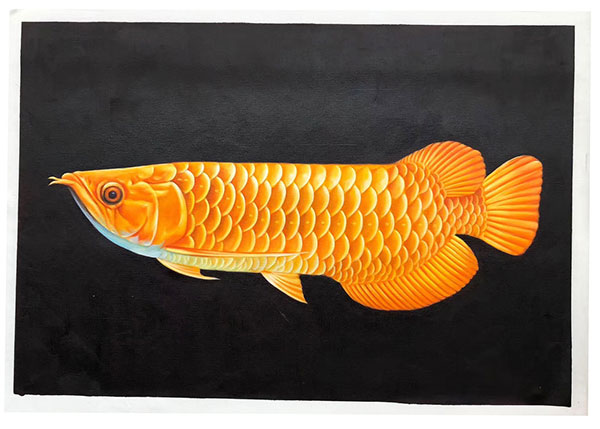 Animals for Jahrriesnge fish lpg2675  Animals Jahrriesnge  for fish lpg2675